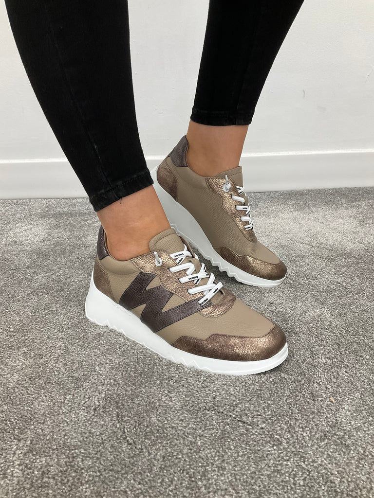 CONNIE TAUPE